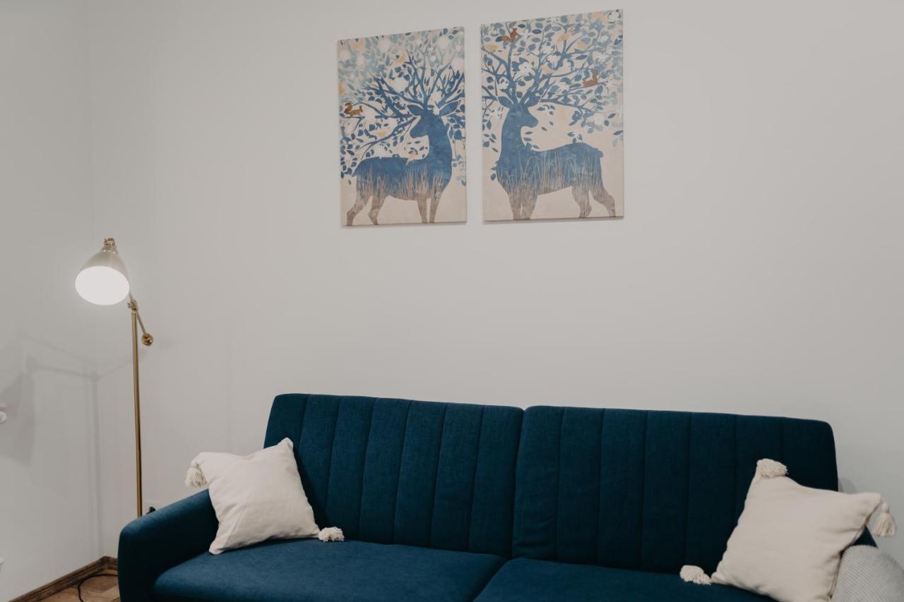 Apartamentul Albastru Dornavátra Kültér fotó